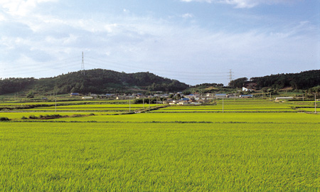 10와룡리전경